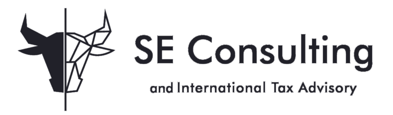 SE Consulting and International Tax Advisory logo