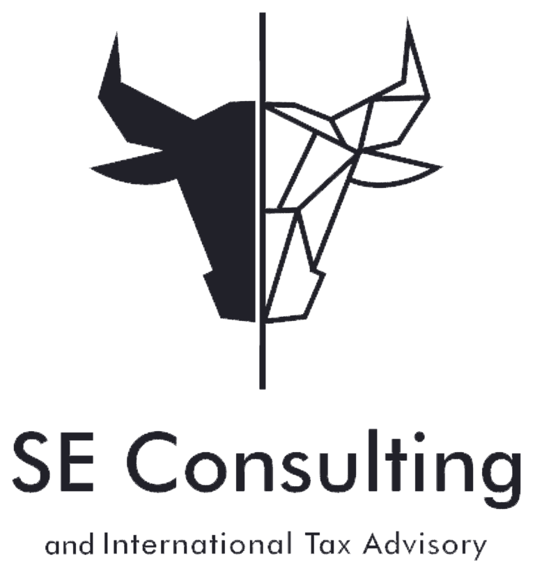 SE consulting logo